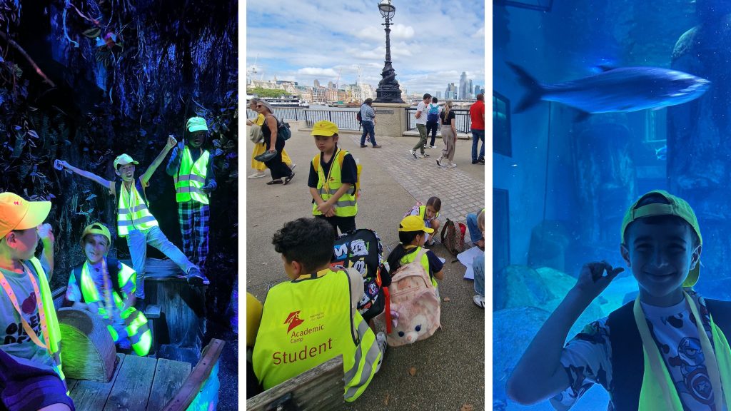 Academic Summer 2026 Locations 3